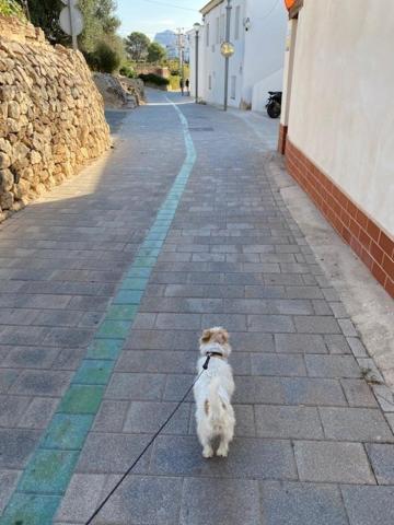 Altea Beachgate - Acceso Privado A La Playa Esterno foto